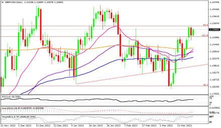 Daily Forex Guide