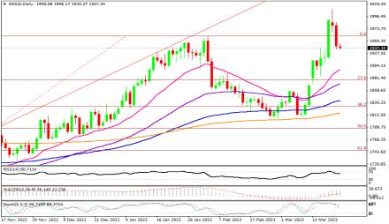 Daily Forex Guide