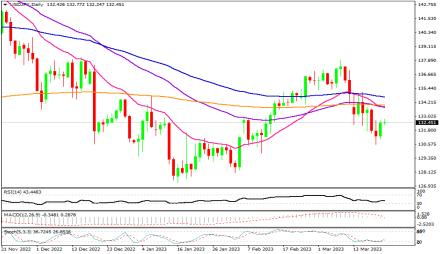 Daily Forex Guide