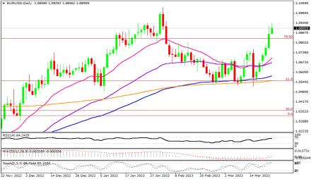 Daily Forex Guide