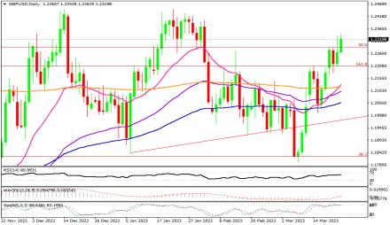 Daily Forex Guide