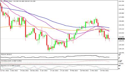 Daily Forex Guide