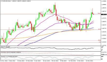 Daily Forex Guide