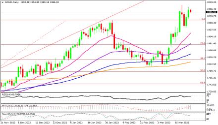 Daily Forex Guide