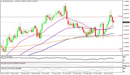 Daily Forex Guide