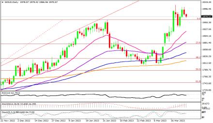 Daily Forex Guide