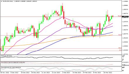 Daily Forex Guide