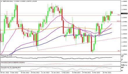 Daily Forex Guide