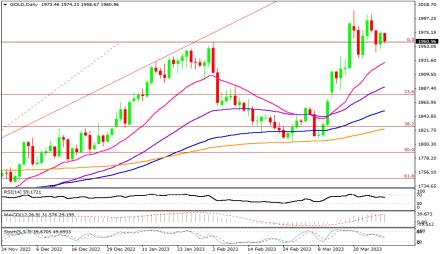 Daily Forex Guide