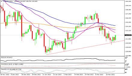 Daily Forex Guide