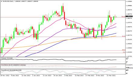 Daily Forex Guide