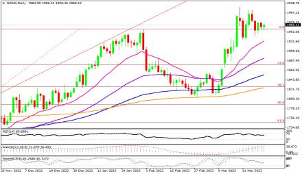 Daily Forex Guide