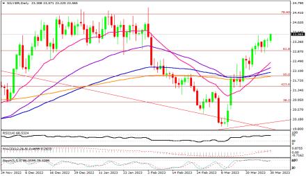 Daily Forex Guide