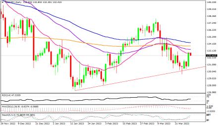 Daily Forex Guide