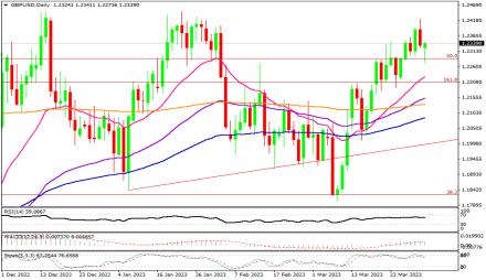 Daily Forex Guide