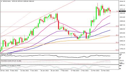 Daily Forex Guide