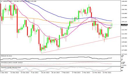 Daily Forex Guide