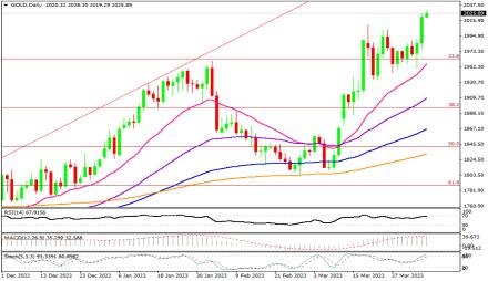 Daily Forex Guide