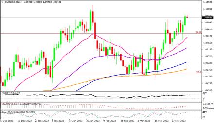 Daily Forex Guide