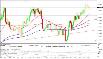 Daily Forex Guide