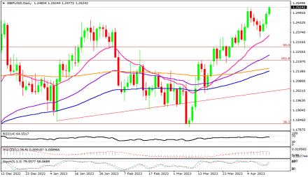 Daily Forex Guide