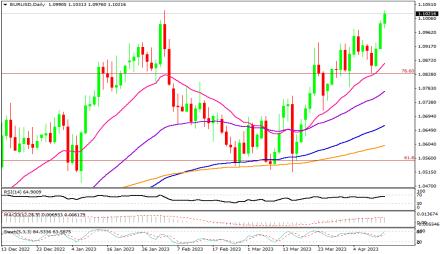 Daily Forex Guide