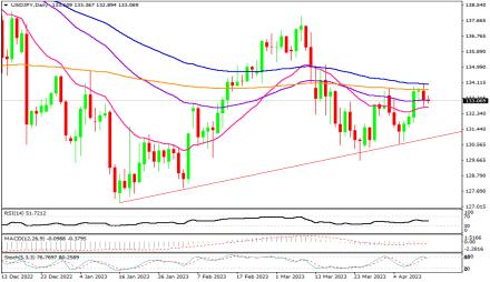 Daily Forex Guide