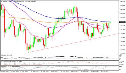 Daily Forex Guide