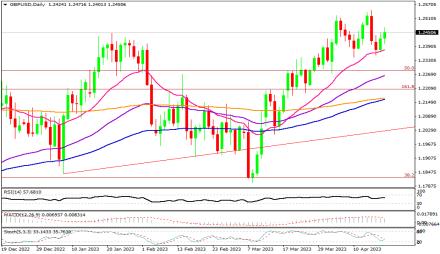 Daily Forex Guide