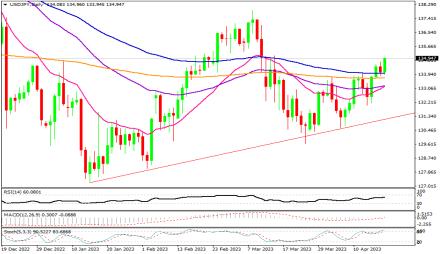 Daily Forex Guide