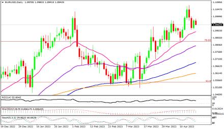 Daily Forex Guide