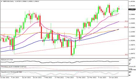 Daily Forex Guide