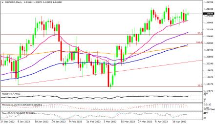 Daily Forex Guide