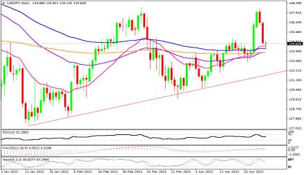 Daily Forex Guide