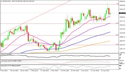 Daily Forex Guide