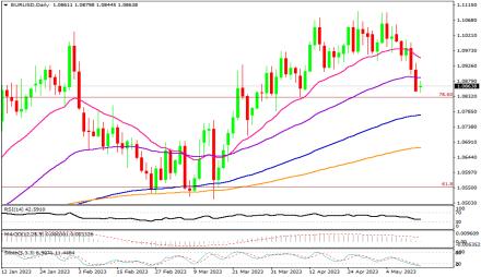 Daily Forex Guide