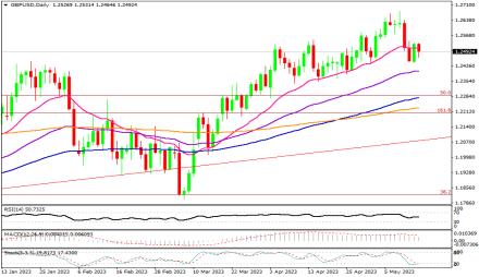 Daily Forex Guide