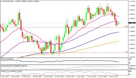 Daily Forex Guide