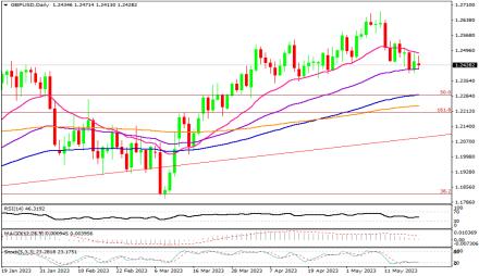 Daily Forex Guide