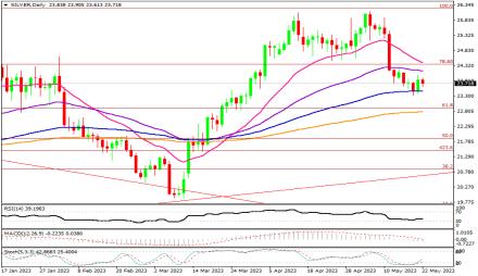 Daily Forex Guide