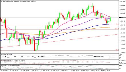 Daily Forex Guide