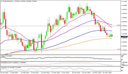 Daily Forex Guide