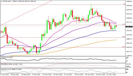 Daily Forex Guide