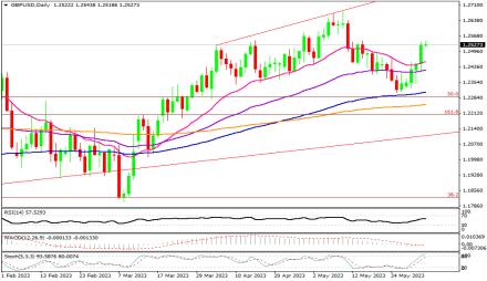 Daily Forex Guide