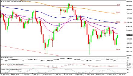 Daily Forex Guide