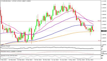 Daily Forex Guide