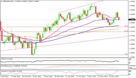 Daily Forex Guide