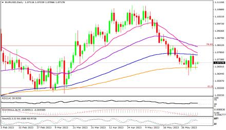 Daily Forex Guide