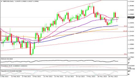 Daily Forex Guide