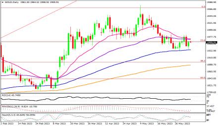 Daily Forex Guide